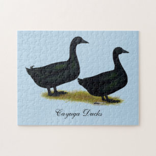 Eenden: Zwarte Cayugas Legpuzzel