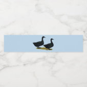 Eenden: Zwarte Cayugas Waterfles Etiket (Enkel label)