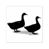 Eenden: Zwarte Cayugas Zelfinktende Stempel (Design)