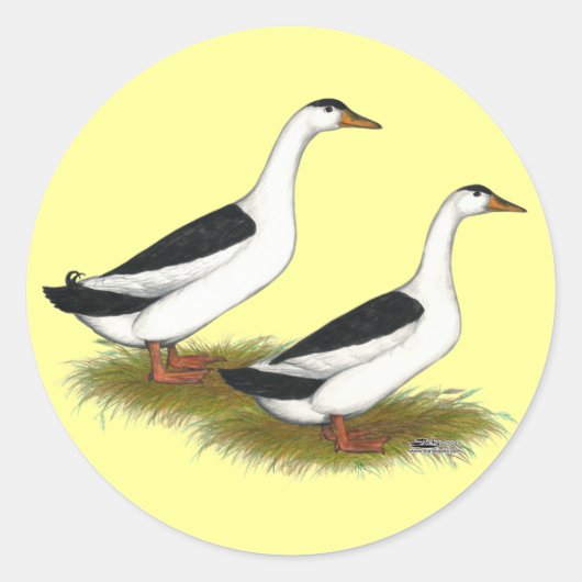 Eenden: Zwarte Magpies Ronde Sticker (Voorkant)