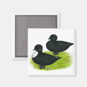 Eenden: Zwarte Vraag Magneet (Voorkant / Achterkant)