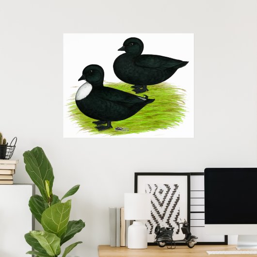 Eenden: Zwarte Vraag Poster (Thuiskantoor)