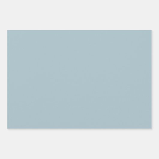 Eendenei Blauw en wit Abstract Inpakpapier Vel (Voorkant 2)