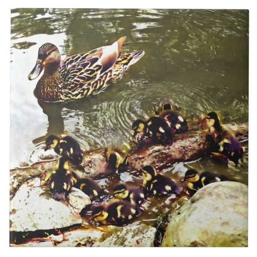 Eendenfamilie Tegeltje (Voorkant)