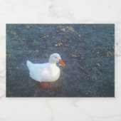 Eendenfles Etiket (Enkel label)