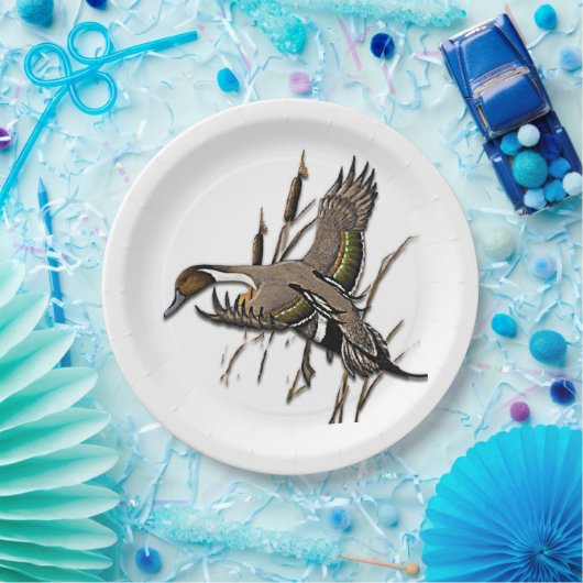 Eendenjacht Papieren Bordje (Feest)