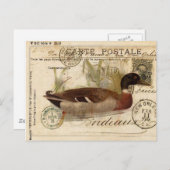  eendenKaart Briefkaart (Voorkant / Achterkant)