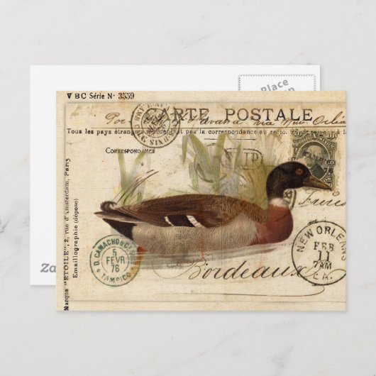 eendenKaart Briefkaart (Voorkant / Achterkant)