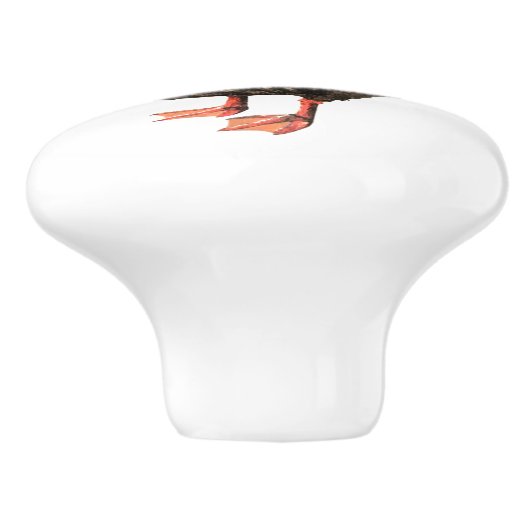 eendenknop keramische knop (Zijkant)