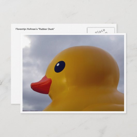 eendenkop briefkaart (Voorkant / Achterkant)