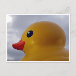 eendenkop briefkaart