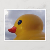 eendenkop briefkaart (Voorkant)