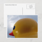 eendenkop rond briefkaart (Voorkant / Achterkant)