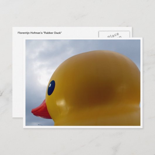 eendenkop rond briefkaart (Voorkant / Achterkant)