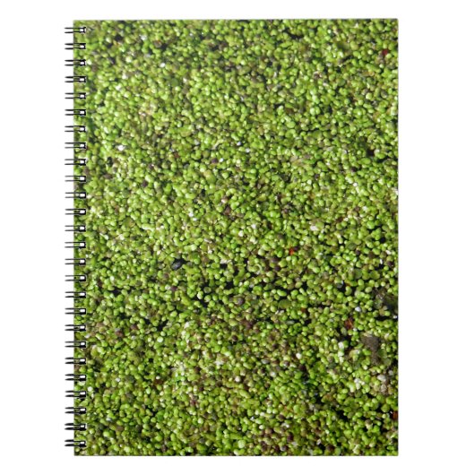 eendenkroos-377535 eendenkroos, waterlens, plant notitieboek (Voorkant)