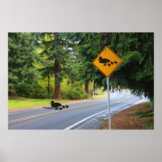 Eendenoversteek Poster (Voorkant)