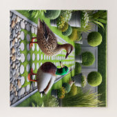 Eendenparadijs Legpuzzel (Horizontaal)