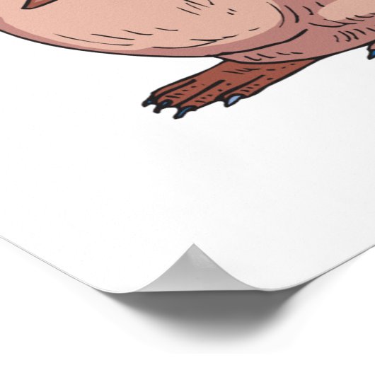 eendenvlek poster (Hoek)