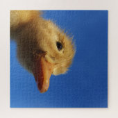 eendje, kip, dier, kuiken, vogel, boerderij, schat legpuzzel (Horizontaal)