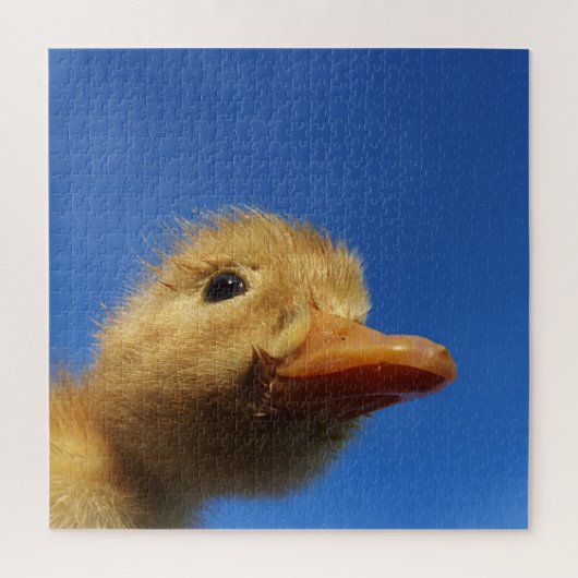 eendje, kip, dier, kuiken, vogel, boerderij, schat legpuzzel (Verticaal)