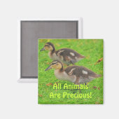 Eendjes Dierenliefhebbers Wildlife Art Magneten (Voorkant / Achterkant)