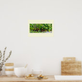 Eendjes Foto Poster (Keuken)