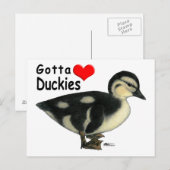 Eendjes Mogen Er Zijn Briefkaart (Voorkant / Achterkant)