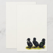 Eendjes Zwarte Cayuga Briefpapier (Voorkant / Achterkant)