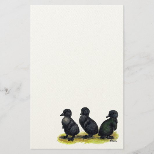 Eendjes Zwarte Cayuga Briefpapier (Voorkant)