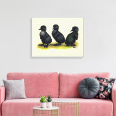 Eendjes Zwarte Cayuga Canvas Afdruk (Insitu (Woonkamer))