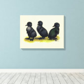 Eendjes Zwarte Cayuga Canvas Afdruk (Insitu (Houten vloer))