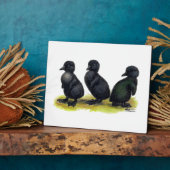 Eendjes Zwarte Cayuga Fotoplaat (Zijkant)