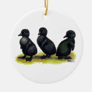 Eendjes Zwarte Cayuga Keramisch Ornament