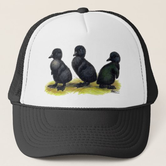 Eendjes Zwarte Cayuga Trucker Pet (Voorkant)
