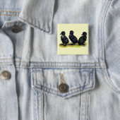 Eendjes Zwarte Cayuga Vierkante Button 5,1 Cm (In situ)