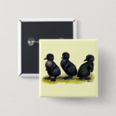 Eendjes Zwarte Cayuga Vierkante Button 5,1 Cm (Voorkant /achterkant)