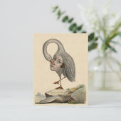 Eenduidig Antiek Symbool Poste Briefkaart (Staand voorkant)