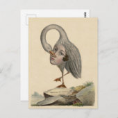 Eenduidig Antiek Symbool Poste Briefkaart (Voorkant / Achterkant)