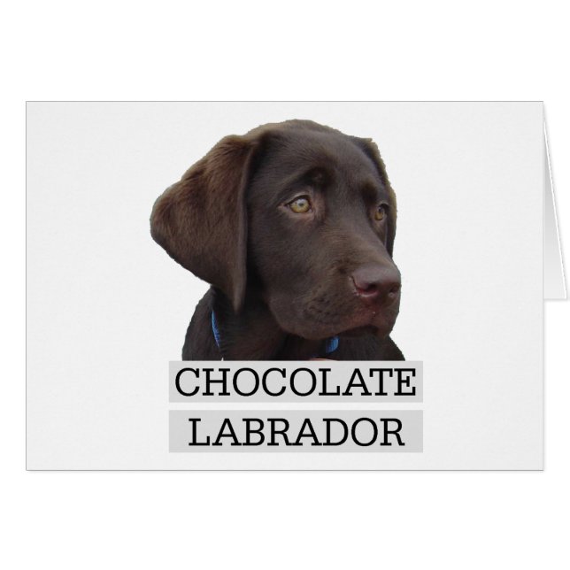 Eenduidig ontwerp van de chocolade Labrador! (Voorkant Horizontaal)