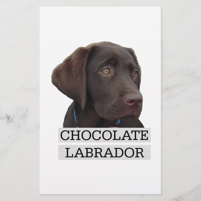 Eenduidig ontwerp van de chocolade Labrador! (Voorkant)