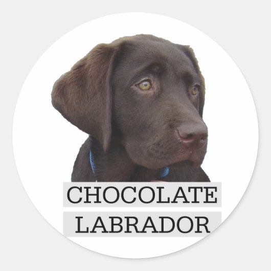 Eenduidig ontwerp van de chocolade Labrador! Ronde Sticker (Voorkant)