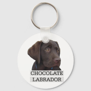 Eenduidig ontwerp van de chocolade Labrador! Sleutelhanger