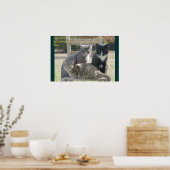 Eenduidige katten poster (Keuken)