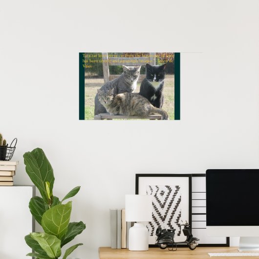 Eenduidige katten poster (Thuiskantoor)
