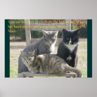 Eenduidige katten poster