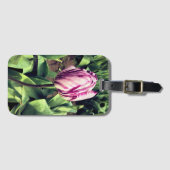 Eenduidige Paarse en witte strepe tulp Bagagelabel (Voorkant (horizontaal))
