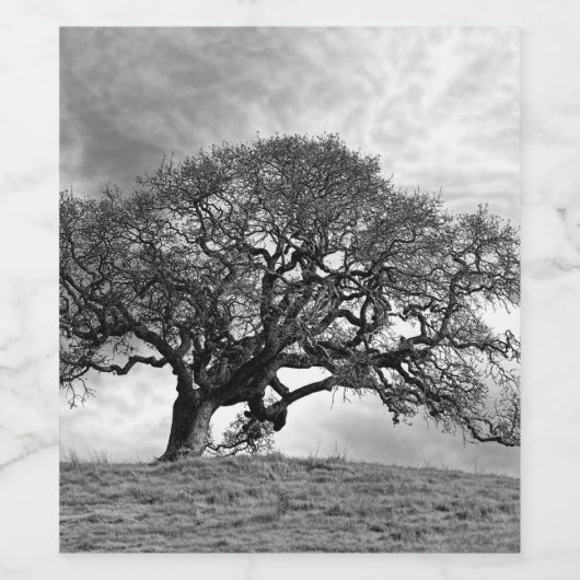 EENEIKENBOOM WIJN ETIKET (Enkel label)