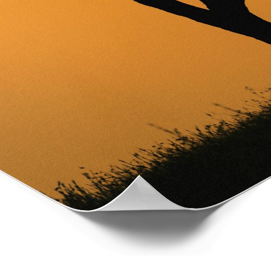 Eénfasige Acacia-boom, gesilhoueteerd bij zonsopga Poster (Hoek)