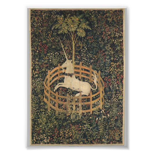 Eenhoorn in gevangenschap foto afdruk (Voorkant)