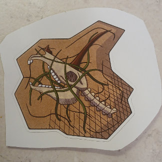 Eenhoorn schedel strand sticker